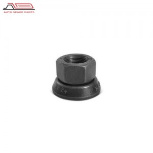 21303956 volvo auto parts wheel nut|ZODI