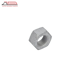 25339078 volvo auto parts hexagon nut |ZODI