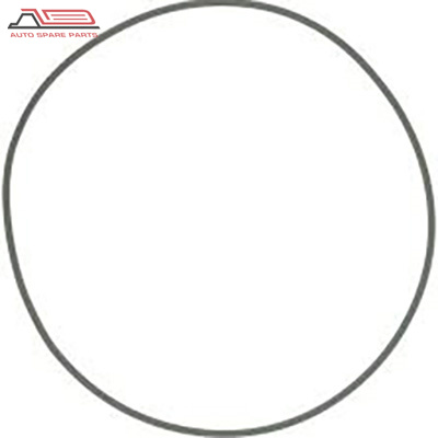 948977 volvo auto parts O-ring |ZODI