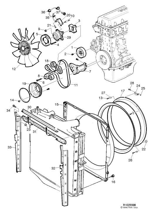 11709635-V-ribbed-belt-volvo-parts-ZODI